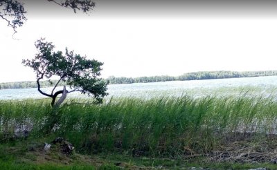 База Галицкий двор