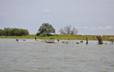 Риболовля на базі відпочинку «На Дунаї»