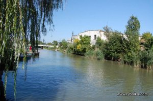 База отдыха Укрречфлота в Одесской области