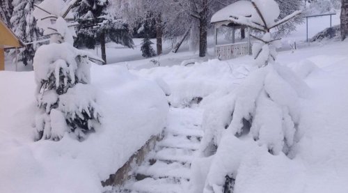 Риболовля на базі «Затишок» 