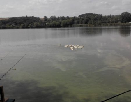 Рыбалка на пруду в с. Комаровка Черкасской области