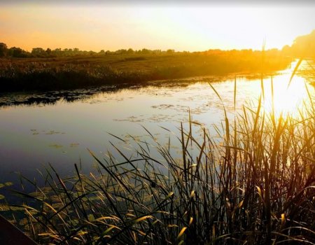 Рыбалка на речке Остёрка