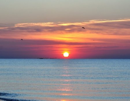 Рыбалка на водоеме Кефалевого хозяйства