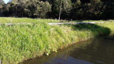 Форелеве господарство Ждимир