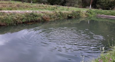 Форелеве господарство Ждимир