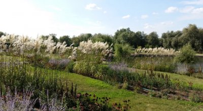 «Маями клуб» - рыбалка на Днестре 