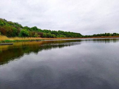Риболовля на озері «Джулайка» в Черкаській області