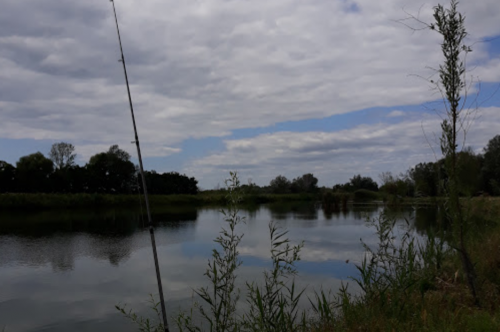 Риболовля на озері «Джулайка» в Черкаській області