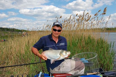 Рибалка на Бєлінському ставку
