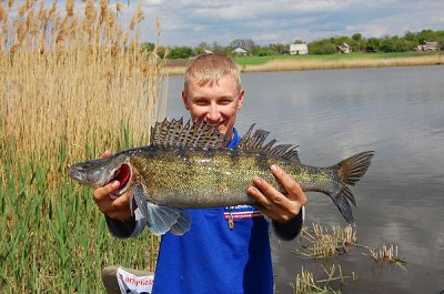 Рибалка на Бєлінському ставку