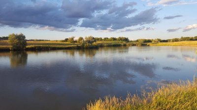 Рибалка на Бєлінському ставку