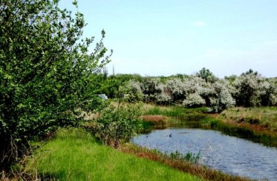 Рибалка на Бєлінському ставку