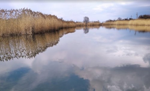 Ставок с. Новогурівка 