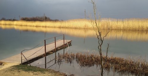 Ставок с. Новогурівка 