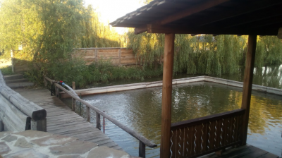 Рыбалка на Дашкиных прудах