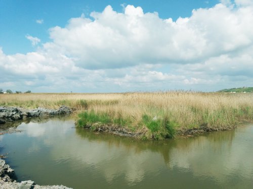 Рыбалка на Дедовом болоте 