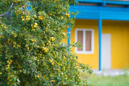 Рыбалка на Дедовом болоте 