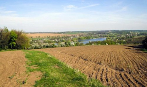 Рыбалка на пруду в с. Комаровка Черкасской области