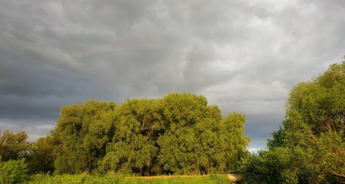 Рыбалка на пруду в с. Комаровка Черкасской области