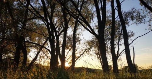 Рыбалка на пруду в с. Комаровка Черкасской области