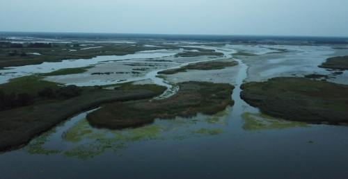 Рибальська база «Нептун» у Чернігівській області