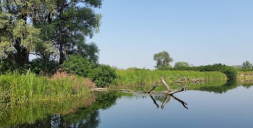 Рыболовно-охотничья база «Оксамит» 