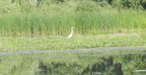 Рыболовно-охотничья база «Оксамит» 
