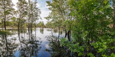 Солонецкое озеро