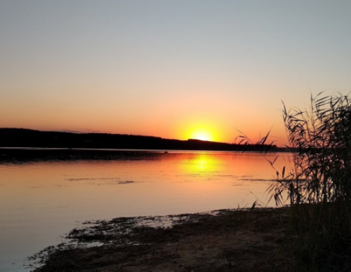 Ставки Борислав у Вінницькій області