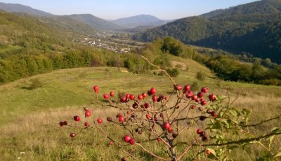 Туристичний комплекс Едельвейс 