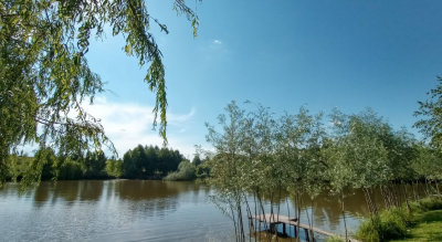 Рибалка у заміському комплексі: Березине у с. Зарванці, Вінницької області