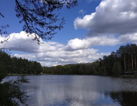 Рыбалка на озере Трофейное 