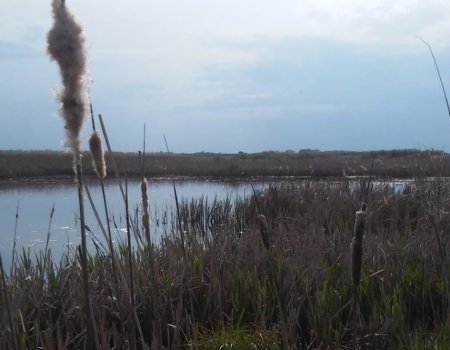 Озеро Карп Прайд в селе Большой Чернятын