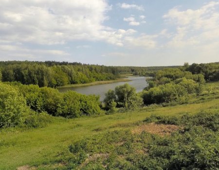 Рыбалка в водоёме с. Новая Слобода 