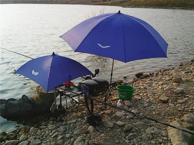 Рыбалка на Константиновских прудах в Крыму