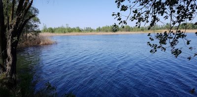 Рыбалка на озере Камплица 