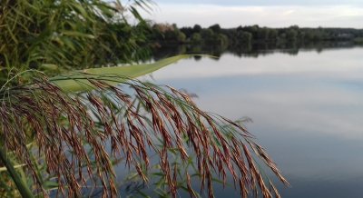 Рыбалка на озере Камплица 