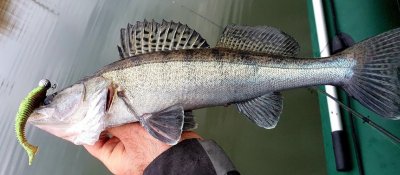 Рыбалка на озере Камплица 