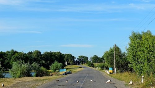 Озеро Карп Прайд в селе Большой Чернятын