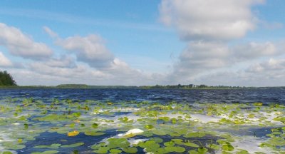 Рыбалка на озере «Нобель»
