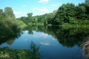 Рыбалка на базе отдыха «Псел»