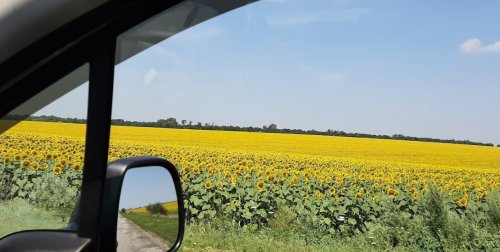 Риболовля та відпочинок на турбазі «Хуторок» 