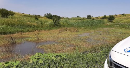 Риболовля та відпочинок на турбазі «Хуторок» 