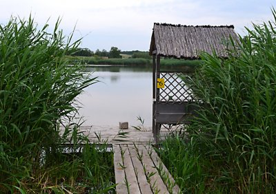 Риболовля та відпочинок на турбазі «Хуторок» 