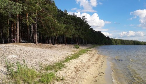 Рыбалка на Белом озере в с. Рудка Ровенской области