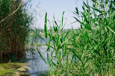 Рыбалка на Тилигульском лимане