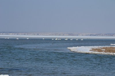 Рыбалка на Тилигульском лимане