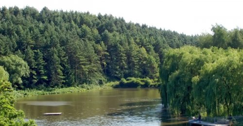 Риболовля на воді у санаторії «Медобори» в Тернопільській області