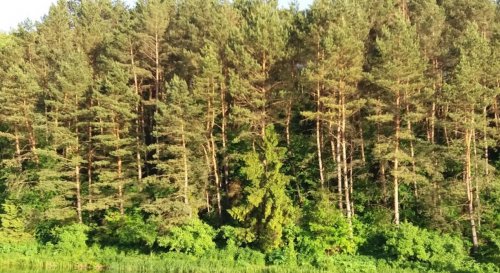 Риболовля на воді у санаторії «Медобори» в Тернопільській області