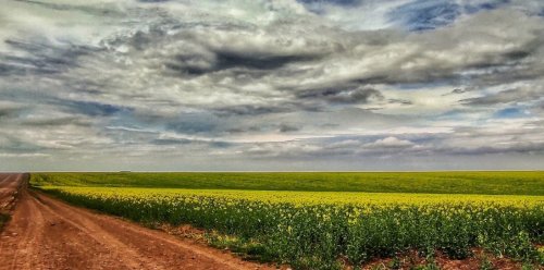 Риболовля на воді у санаторії «Медобори» в Тернопільській області